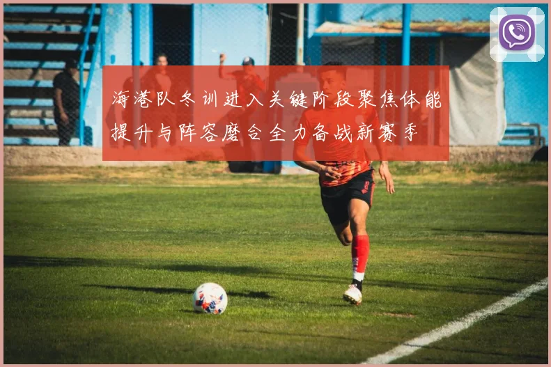 海港队冬训进入关键阶段聚焦体能提升与阵容磨合全力备战新赛季